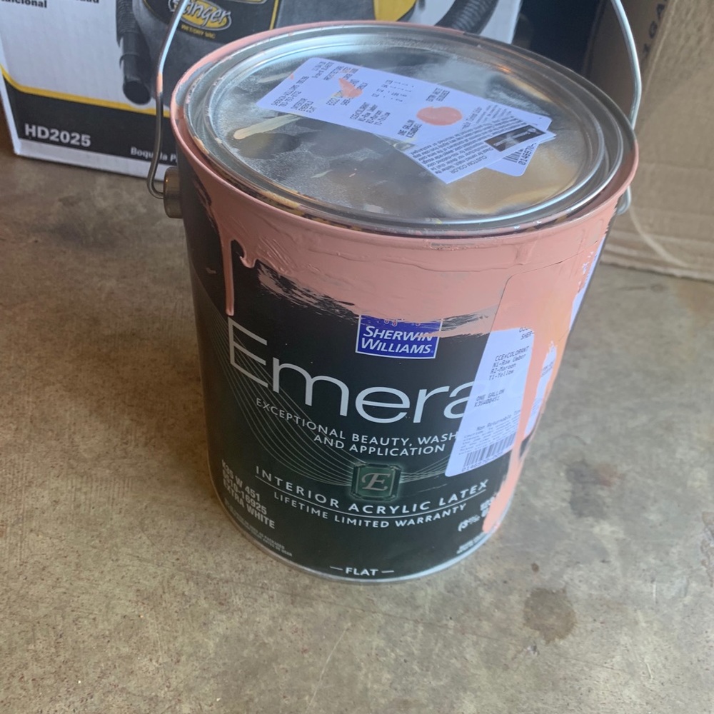 Paint - Picture 2 of 3